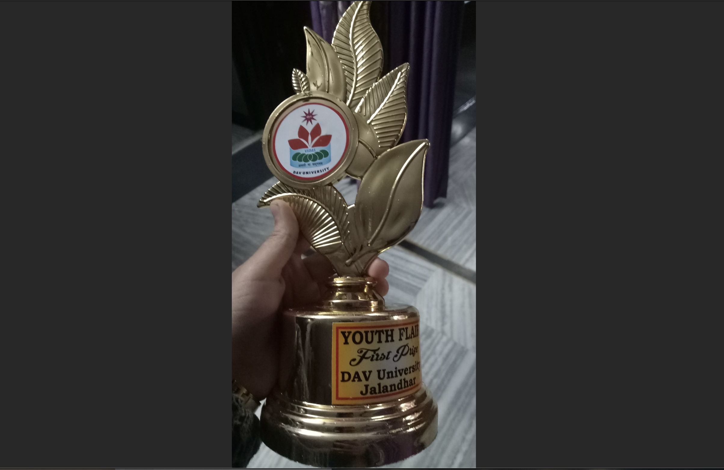 Youth Fair Trophy
